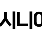 seongnam_logo_origin